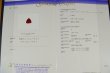 画像4: クリノヒューマイト 1.30ct 鑑別書付 (4)