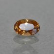 画像1: コニャックエンスタタイト 0.67ct (1)