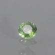 画像1: グリーンダイオプサイド0.48ct　ソーティング付 (1)