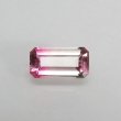 画像1: バイカラートルマリン 1.01ct (1)