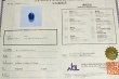 画像4: アレキサンドライトキャッツアイ 1.37ct 鑑別書付 (4)